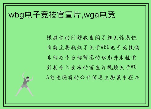 wbg电子竞技官宣片,wga电竞